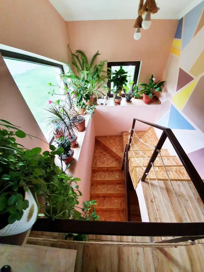 ---Allegria House--- كازباجي المظهر الخارجي الصورة