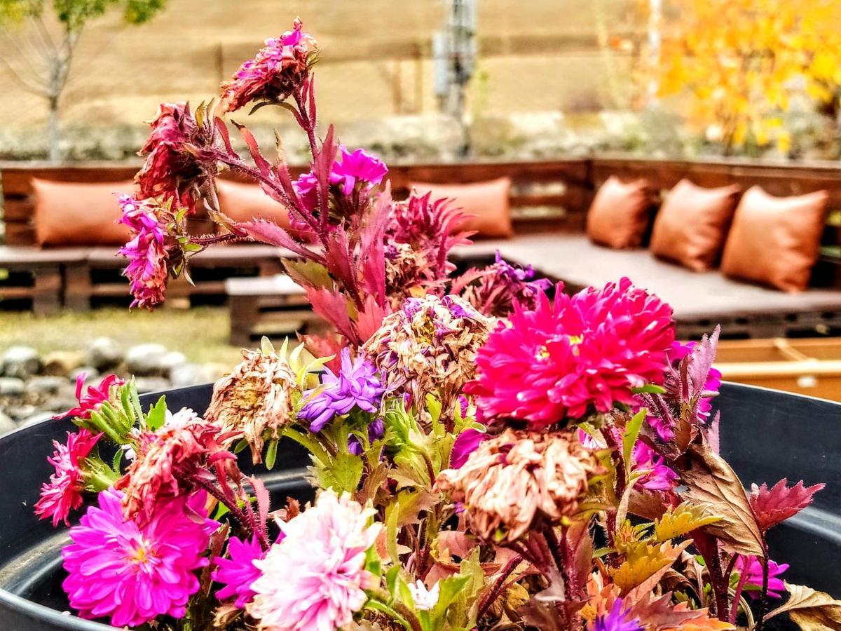 ---Allegria House--- كازباجي المظهر الخارجي الصورة